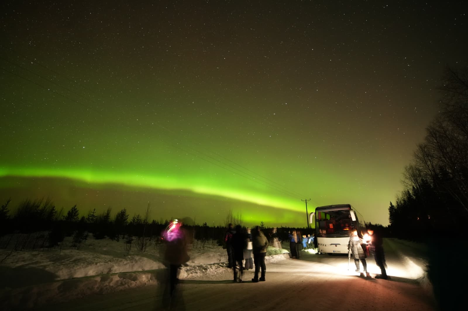 Hunt for aurora borealis by bus