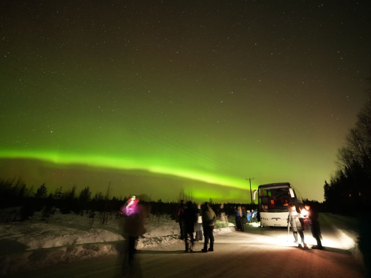 Hunt for aurora borealis by bus